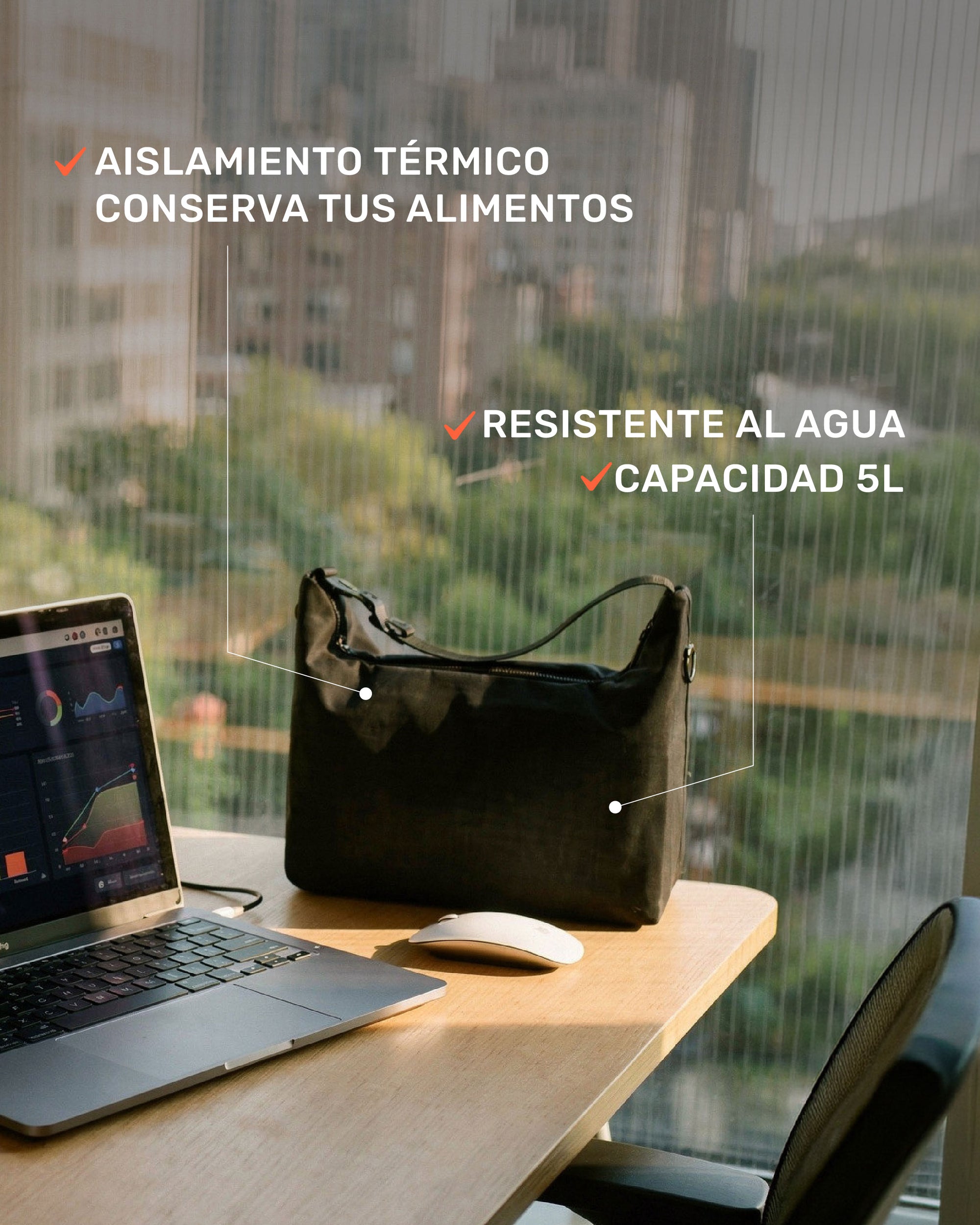 Organización & Equipaje Bolso Térmico Cooler